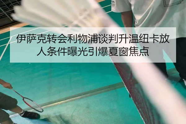 伊萨克转会利物浦谈判升温纽卡放人条件曝光引爆夏窗焦点